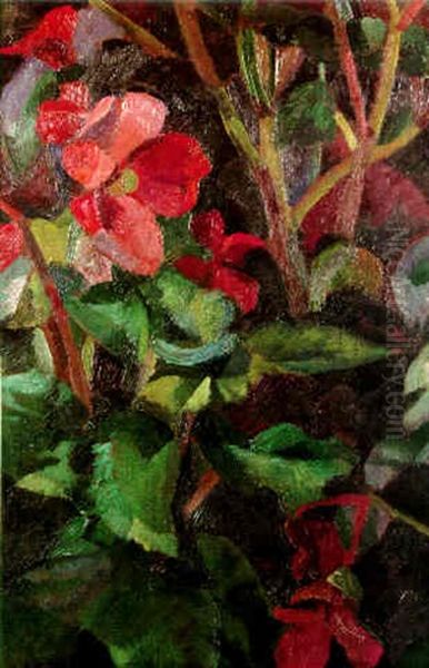 Still Life - view 1