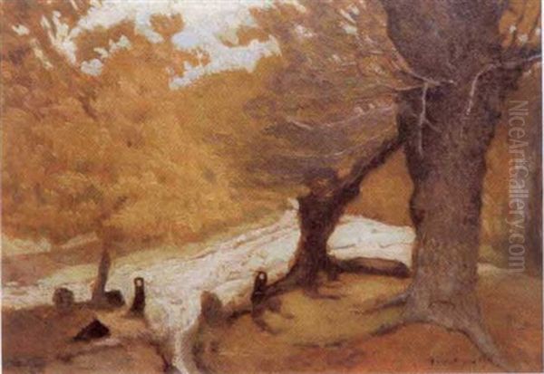 Le Bois D'amour A L'automne - view 1