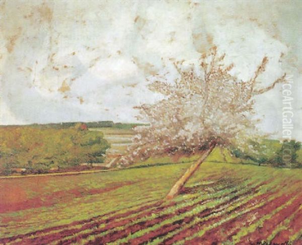 Pommier En Fleurs - view 1