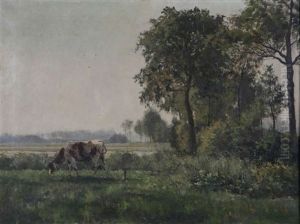 Vache Au Bord De L'eau