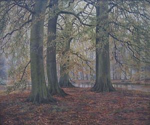 Herfst In Het Bos