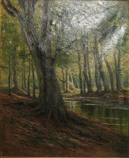 Bosgezicht - view 1