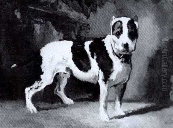 Spotted Bull Terrier - view 1