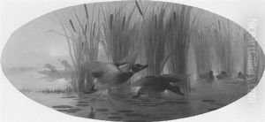 A Duck Shoot by Auguste Joseph Delessard