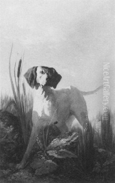 A Pointer In A Landscape - view 1