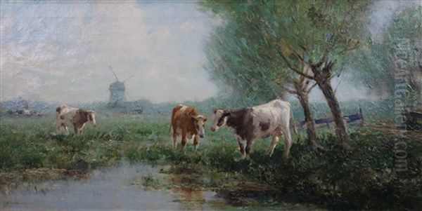 Polderlandschap Met Koeien In De Vroege Ochtend - view 1