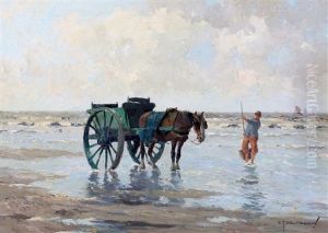 Schelpenvisser Op Het Strand