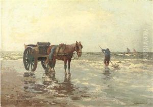 Shellfisher On The Beach