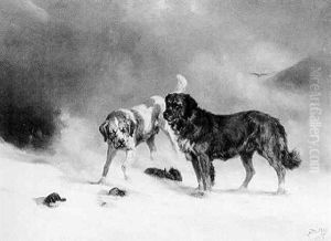 Lawinenhunde