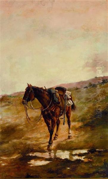 Caballo - view 1