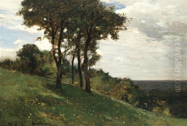 Paesaggio Con Alberi - view 1