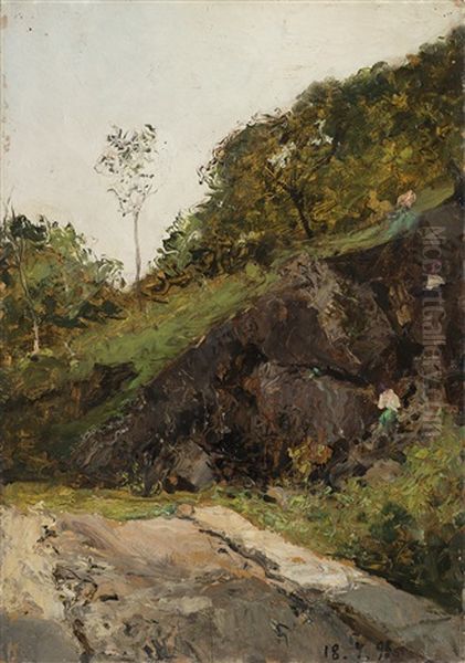 Strada Di Campagna Al Sole - view 1