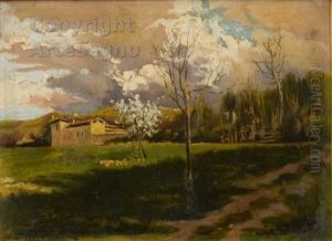 Casolare Alpino
