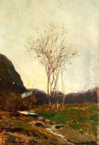 Paesaggio Di Campagna