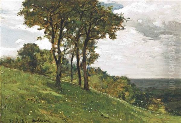 Trees On A Hillside - view 1