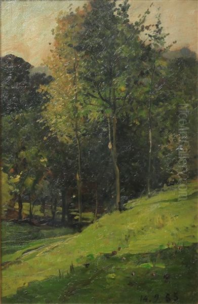 Paesaggio 14/02/1885 - view 1