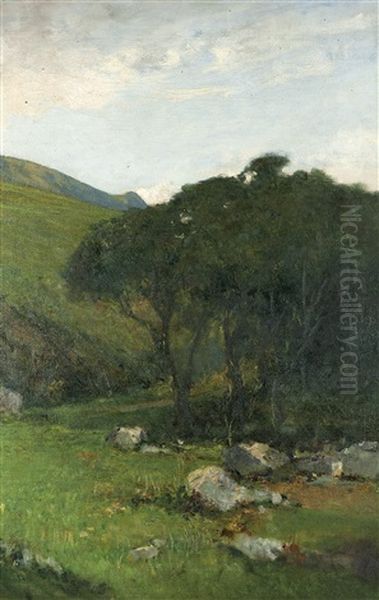 Alberi Sotto Il Pendio - view 1