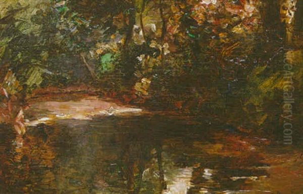 Riviere Dans Un Sous-bois - view 1