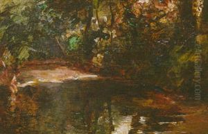 Riviere Dans Un Sous-bois