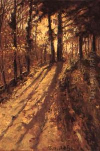 Strada In Un Bosco Strada In Un Bosco