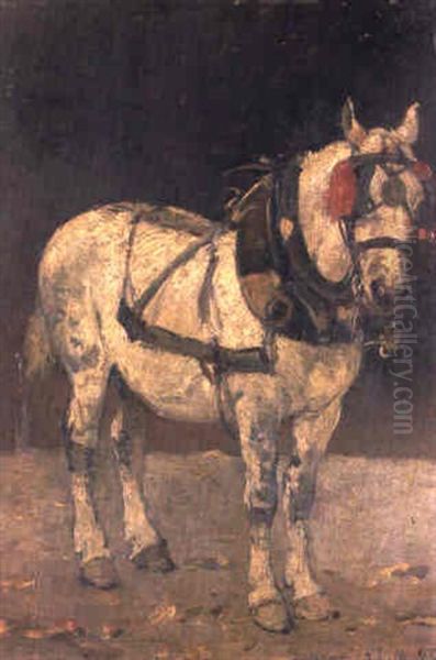 Cavallo - view 1