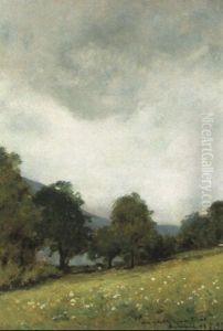 Verde Cortina, Sotto Il Cielo Grigio Verde Cortina, Sotto Il Cielo Grigio