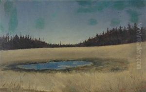 Daylight On The Kaibab