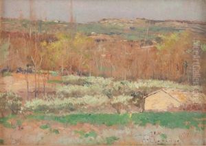 Paysage by David Dellepiane