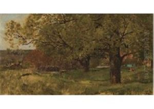 Paysage Aux Grands Arbres
