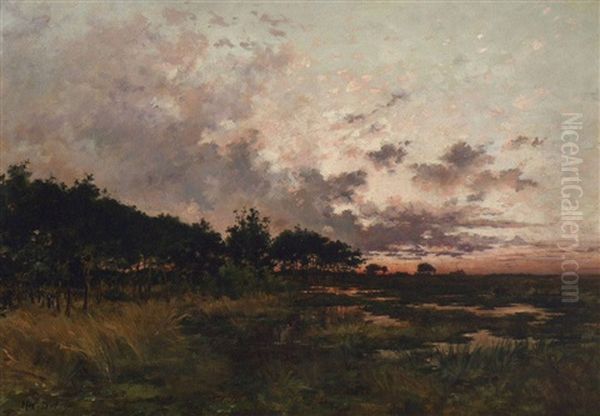 Moorlandschaft Im Abendlicht - view 1