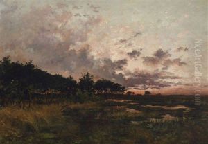 Moorlandschaft Im Abendlicht