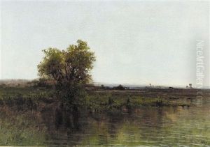 Moorlandschaft Mit Baumgruppe Moorlandschaft Mit Baumgruppe