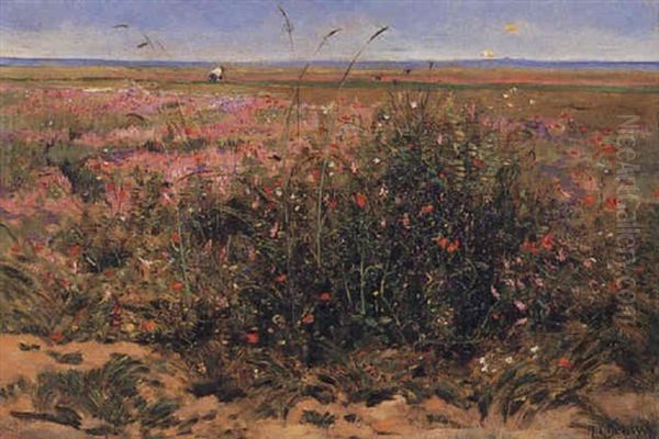 Wild Flowers - view 1