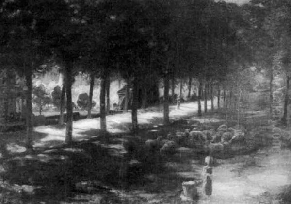 The Sunlight Road - view 1