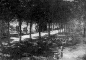 The Sunlight Road