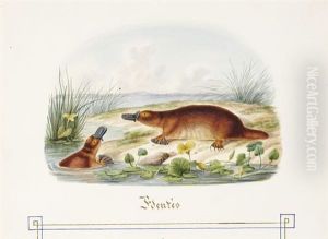 Histoire Naturelle. Zoologie. (+ Histoire Naturelle. Botanique.; 2 Vols W/42 Works, Quarto) by Valentine du Demaine