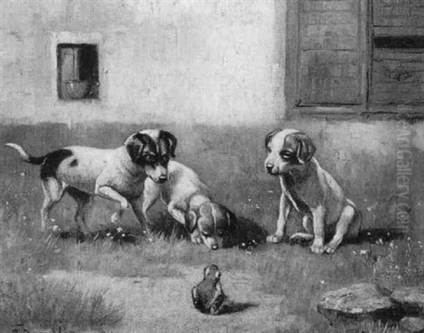Drei Hunde Und Ein Frosch - view 1