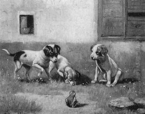 Drei Hunde Und Ein Frosch