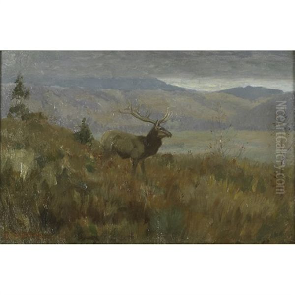A Stag In A Mountain Landscape - view 1