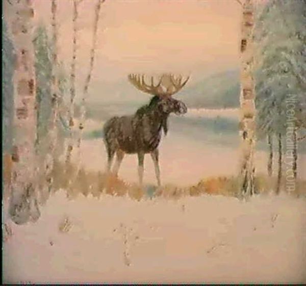 Moose In Winter - view 1