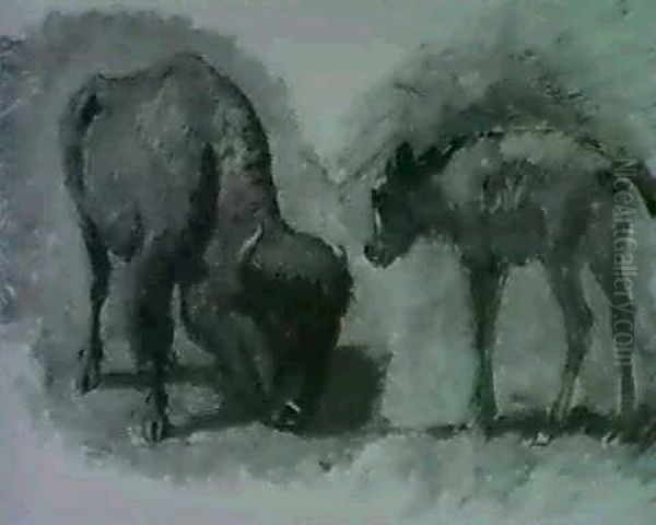 Buffalo And Her Calf - view 1