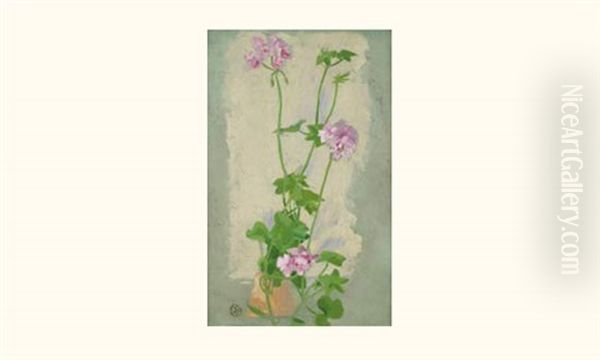 Les Geraniums - view 1