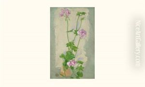Les Geraniums Les Geraniums