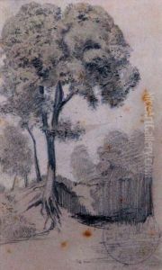 "paisaje"