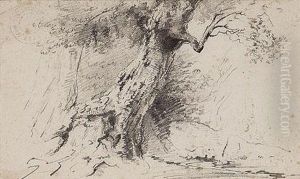 Arbol by Joaquin Araujo Y Ruano