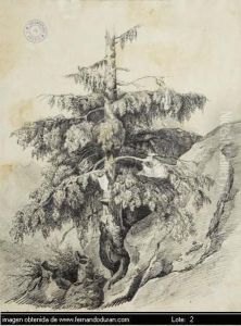 Sin Titulo by Joaquin Araujo Y Ruano