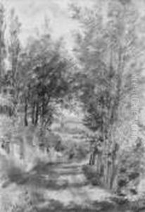 Paisaje by Joaquin Araujo Y Ruano