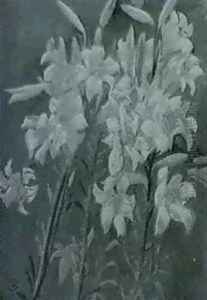 Liliums by Maurice Denis