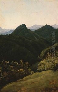 A View Of The Sabine Mountains