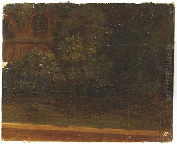 Des Arbustes Devant Un Aqueduc - view 1